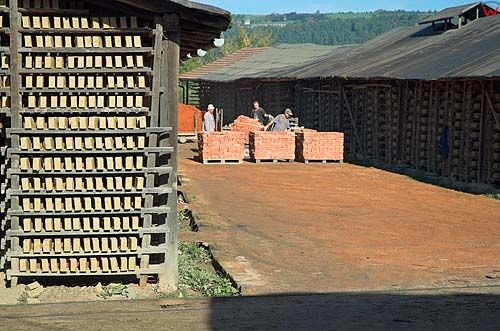 Produkcja cegły