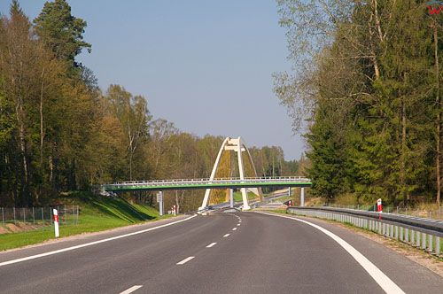 Warm-Maz. Droga prowadzaca do przejscia granicznego w Grzechotki - Mamonowo.