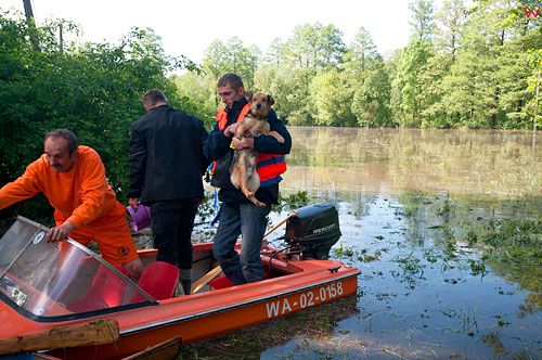 PL, Mazowieckie, Powodz w  Juliszew 26.05.2010r.