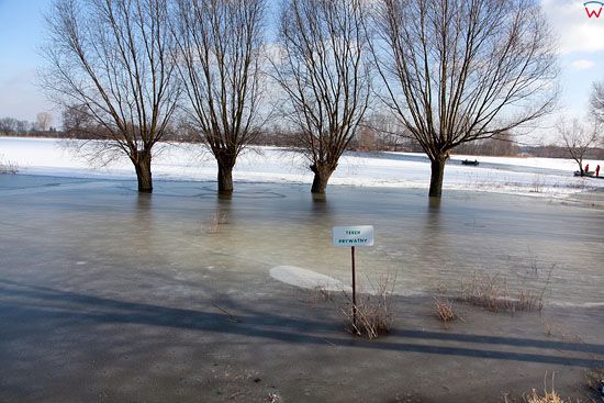 Pl, kujawsko-pomorskie. 22-01-2011 r., powodz w Ostrowku nad jeziorem Goplo. Tereny zalane na polwyspie.