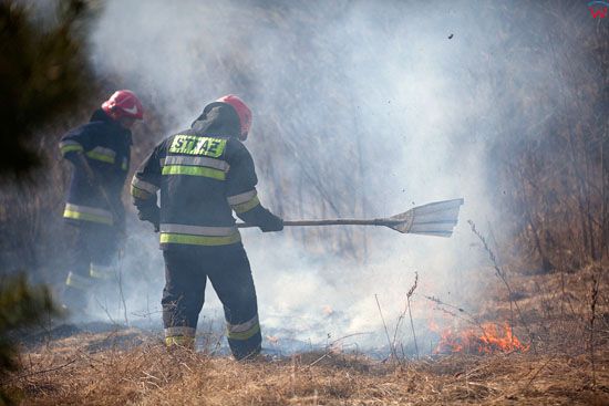 Wypalanie trawy. Strazacy w trakcie gaszenia ognia.