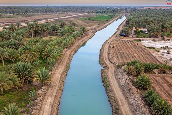 Irak, kanal nawadniajacy miedzy miastem Barnun a Babilonem. Lotnicze.