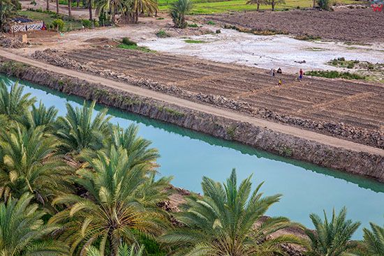 Irak, kanal nawadniajacy miedzy miastem Barnun a Babilonem z uprawa rolna. Lotnicze.