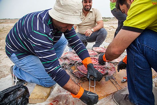 Irak,  Al-Hindiyah. Przygotowywanie ryby z grilla.