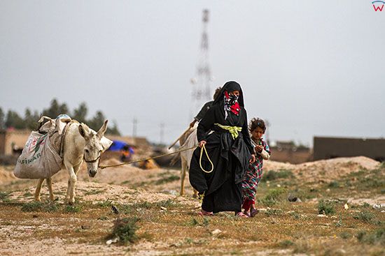 Irak, bliska okolica Karbali. Kobieta z dzieckiem prowadzaca osla.