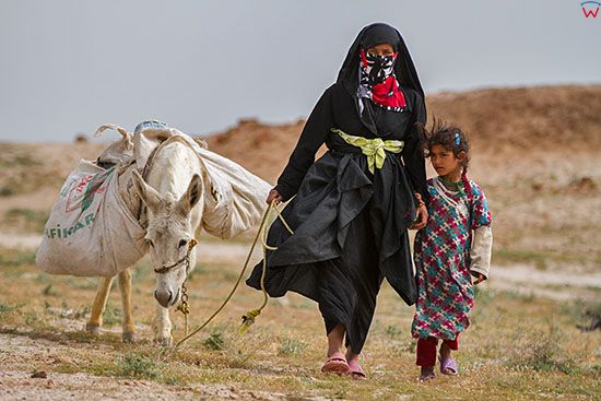 Irak, bliska okolica Karbali. Kobieta z dzieckiem prowadzaca osla.