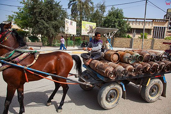 Irak, Karbala. Furmanaka transportujaca butle gazowe w centrum miasta, na rondzie Al Tarbeiah St.