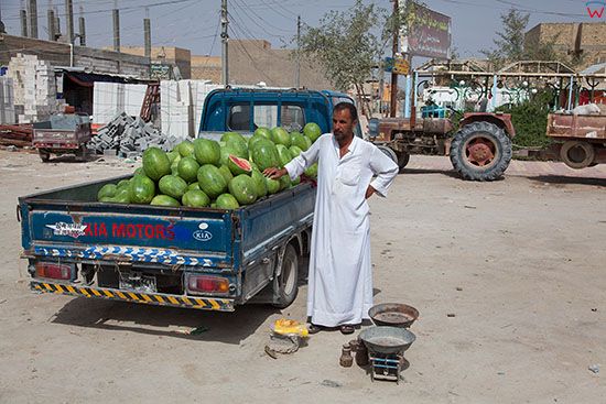 Irak, Karbala. Mezczyzna sprzedajacy arbuzy w NW czesci miasta.