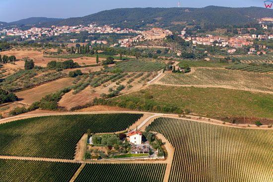 Winnice w okolicy Chianciano Terme. EU, Italia, Toskania. LOTNICZE.