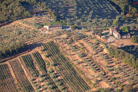 Sady oliwne w okolicy Ponticino. EU, Italia, Toskania. LOTNICZE.